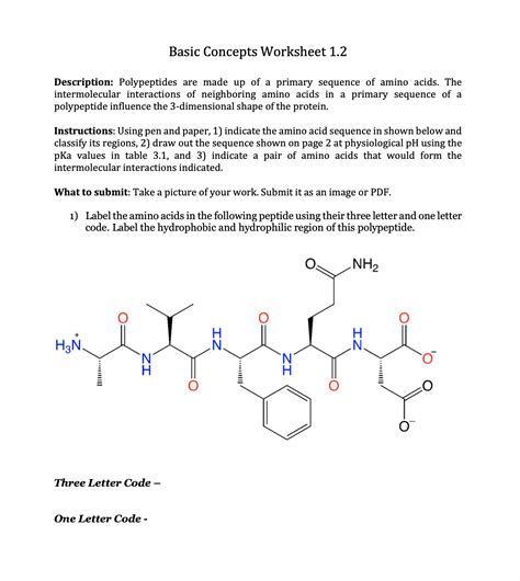 Solved Basic Concepts Worksheet 1 2description Polypeptides