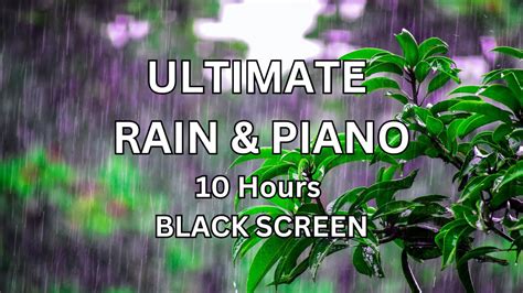 Hours Ultimate Rain Piano Best Sleep Music Black Screen Youtube