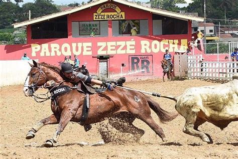 Pl Reconhece Lagarto Como A Capital Nacional Da Vaquejada