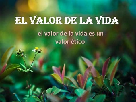 El Valor De La Vida And El Plan De Vida