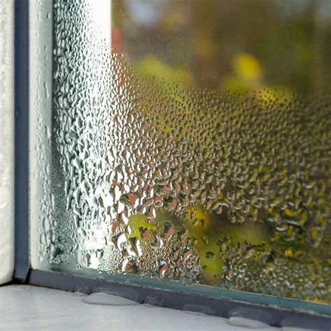 Window Condensation Problem | Q Windows and Doors