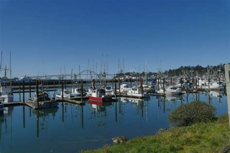 Fishing Boat Fleet In Yaquina Bay Marina Editorial Photo Image Of