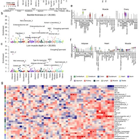 PDF Construction Of A Multi Tissue Cell Atlas Reveals Cell Type