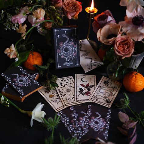Ophidia Rosa Tarot Leila Olive
