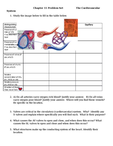 BIOL 1180Ch 11 Problem Set The Cardiovascular System - Chapter 11