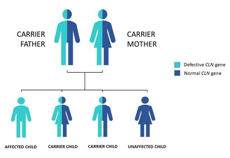 Learn About Batten Disease Support From BDSRA Australia