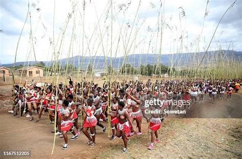 Zulu maidens gather during the annual Umkhosi Womhlanga at Enyokeni ...