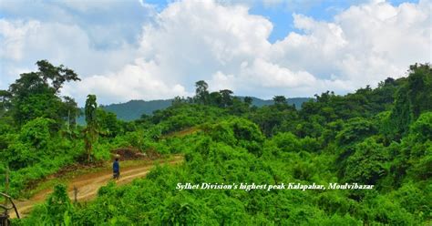 Sylhet Divisions Highest Peak Kalapahar Moulvibazar Online Travel