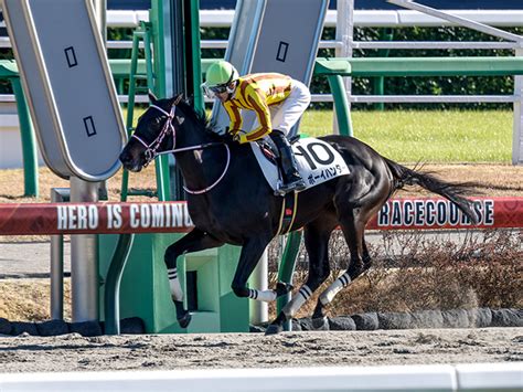 【中山6r新馬戦結果】ルーラーシップ産駒ボーイハンターが10馬身差圧勝 ライブドアニュース