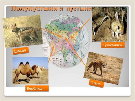 Животный мир Евразии - презентация онлайн
