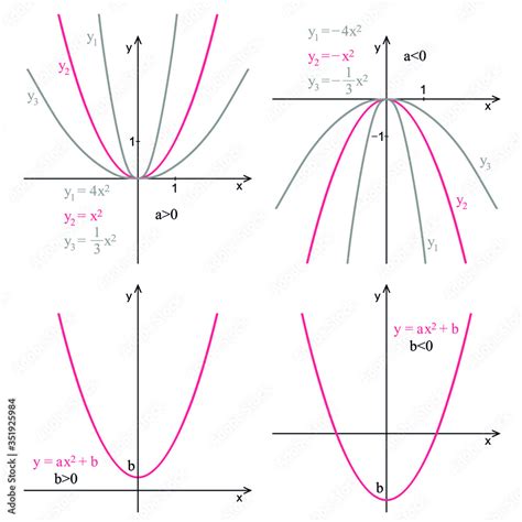 Graph of quadratic function on a white background. Graphic presentation ...