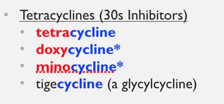 Protein Synthesis Inhibitors Drugs Flashcards | Quizlet