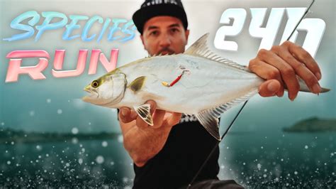 𝟮𝟰𝗵 SPECIES RUN solo con Señuelo Spinning y Rockfishing Lured