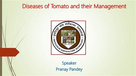 Tomatodiseases Pdf