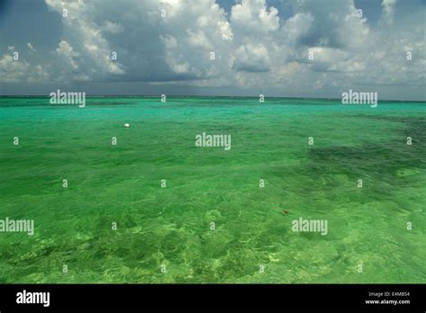 Beautiful View Of The Ocean From Ambergris Caye Belize Stock Photo Alamy