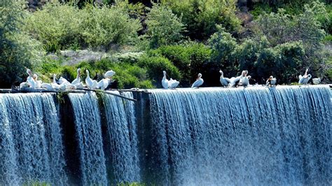 Relaxing Waterfall Sounds With Birds Hour Birds Chirping And