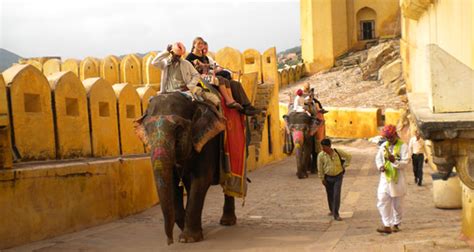 Pushkar Fair Photography Tour 2023 - Sai India Travel