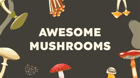 Mushroom Hunting Tips Minitheme