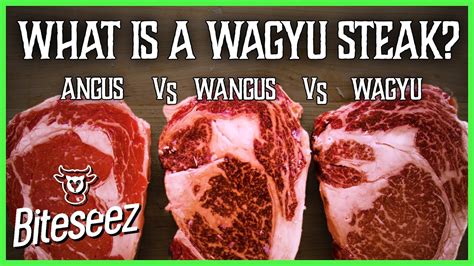 Angus Vs American Wagyu Vs Wagyu What S The Difference Youtube