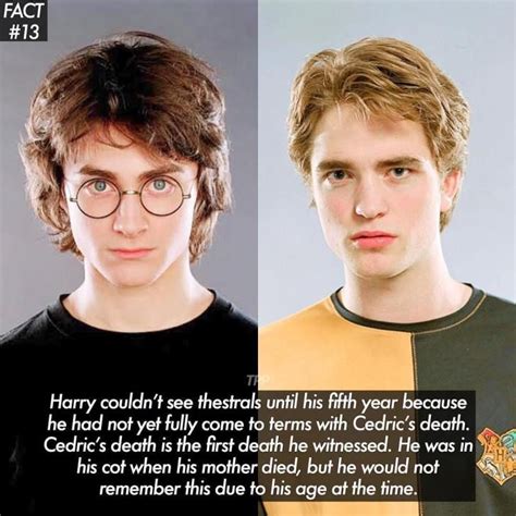 25 Astonishing Harry Potter Facts Will Make Your Day Swish Today