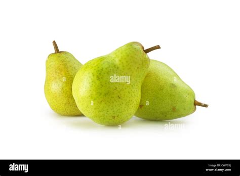 Pyrus Communis Pear Stock Photo Alamy