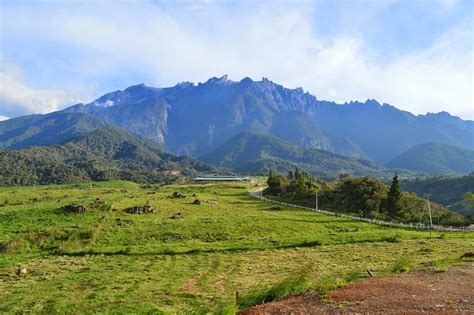 Tempat Menarik Di Sabah Desa Dairy Cattle Farm Di Kundasang Lokasi