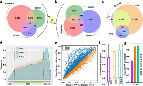 Quantitative Profiling Of N6 Methyladenosine At Single Base Resolution