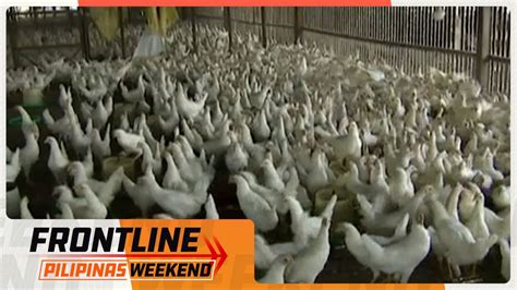 Pag Angkat Ng Poultry Products Mula Australia Ipinatigil Dahil Sa Bird