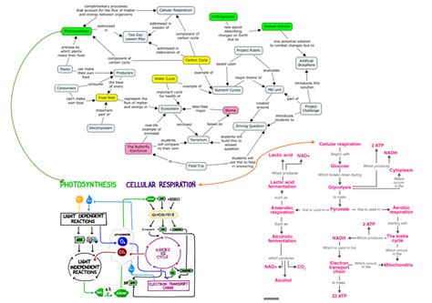 Solved Instructions You Will Decide If You Will Complete The Concept Maps Course Hero