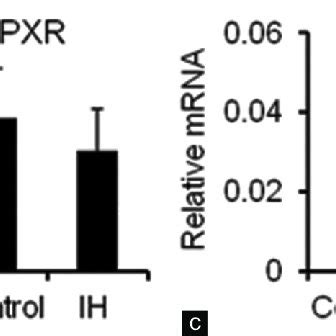 Mrna Expression Levels Of Nf B Pxr Car And Gr In The Liver A D