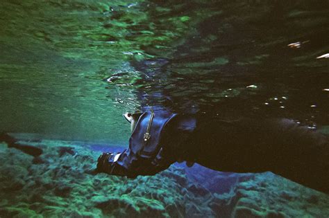 Snorkeling the Silfra Fissure in Iceland - Hecktic Travels