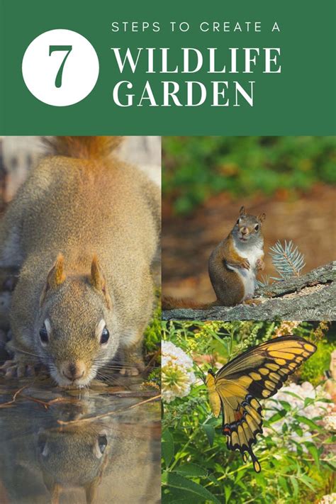 How To Create A Wildlife Friendly Garden Seven Simple Steps To Success