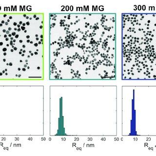 Bright Field Stem Micrographs And Particle Size Distributions Showing