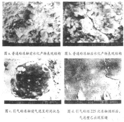 浅析混凝土冻融破坏机理及提高混凝土抗冻性能的对策word文档在线阅读与下载免费文档