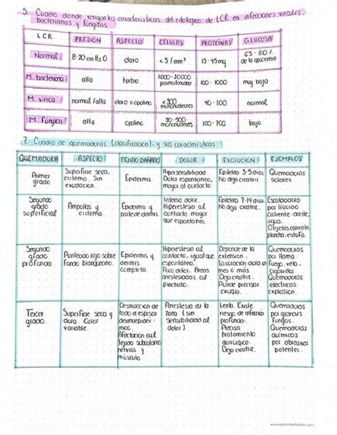 Tarea Caracter Sticas De Lcr Y Clasificaci N De Quemados Ang Lica