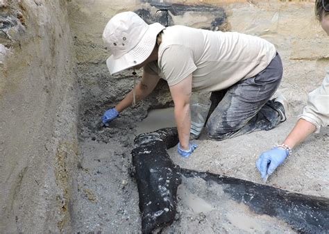 archaeologists discover world’s oldest wooden structure in zambia