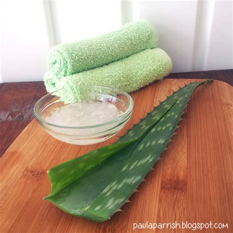 Gypsy Stash By Paula How To Harvest Aloe Vera Gel