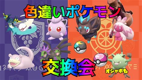 ポケモンsv 色違いポケモン交換会 最強の証ポケモンやオシャボも Youtube