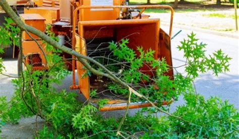 Arborist And Tree Service Insurance Nip Group