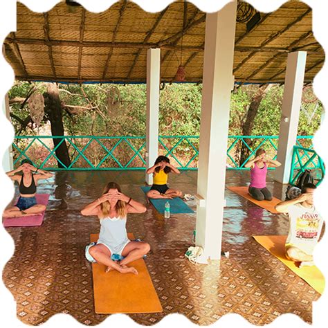 Meditation Retreat In Goa 2024 7 Days Yin Retreat India Yoga School