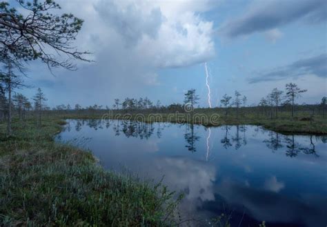 Night storm over the swamp stock photo. Image of beauty - 150165352