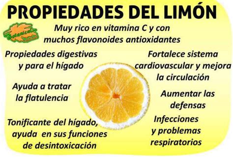 Propiedades del limón Botanical online