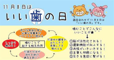 ハウディニュース「11月8日はいい歯の日」｜株式会社ハウディ｜九州の業務用食品卸｜福岡、北九州、熊本、佐賀