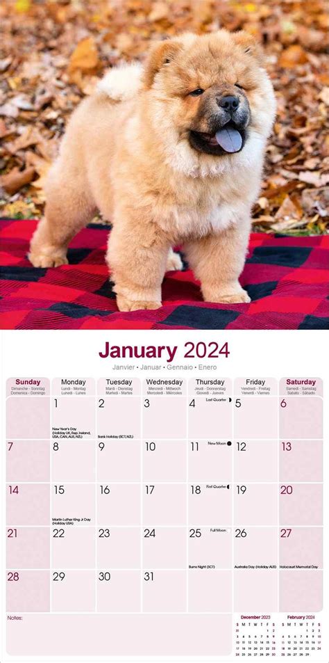 Chow Chow Calendar Dog Breed Calendars Pet Prints Inc