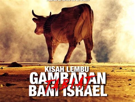 2 Al Baqarah Lembu Betina