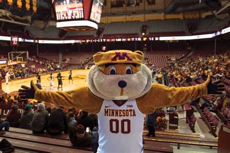 Gopher Athletics University Of Minnesota