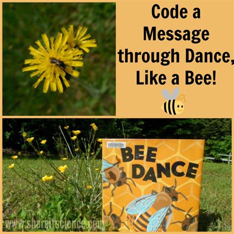 Share it! Science : Communicate Like a Bee! Code a Message in Dance