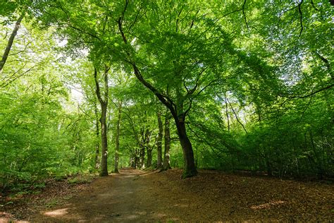 Einde Gooi Egelshoek Hilversum Noord Holland Netherlands