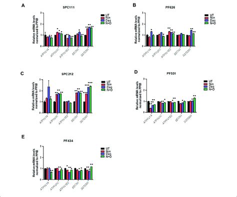 Tfeb Target Genes Are Only Induced In Some Mpm Cell Lines Upon