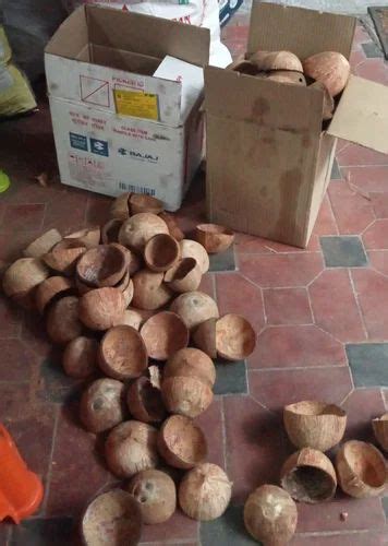 Brown Coconut Shell Packaging Type Loose Packaging Size 50 Kg At Rs